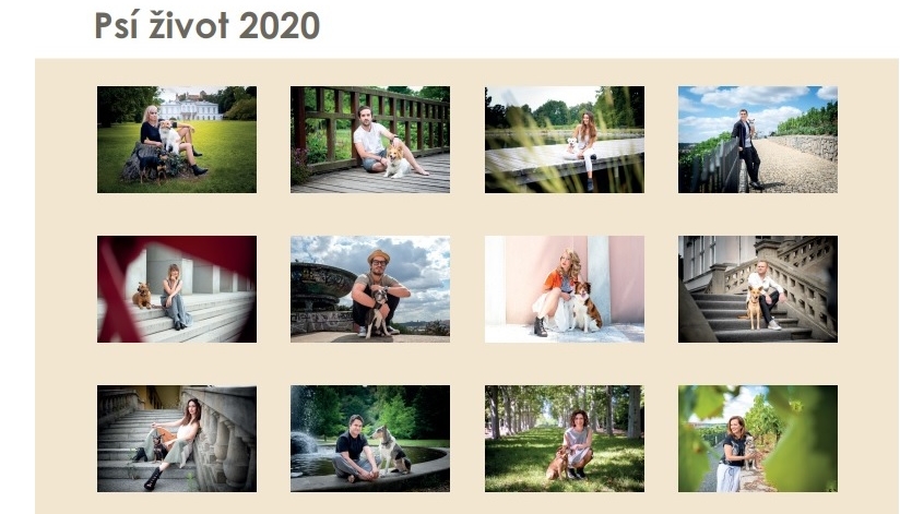Kupte si charitativní kalendář Psí život 2020!